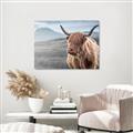 Picture of Furry highland cow _GroupedProduct_Rectangle_Landscape_Photography _GroupedProduct_Rectangle_Landscape_Unframed_Print_Only_