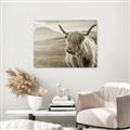 Picture of Furry highland cow _GroupedProduct_Rectangle_Landscape_Photography _GroupedProduct_Rectangle_Landscape_Unframed_Print_Only_