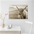 Picture of Furry highland cow _GroupedProduct_Rectangle_Landscape_Photography _GroupedProduct_Rectangle_Landscape_Unframed_Print_Only_
