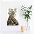Picture of The Tree _GroupedProduct_Rectangle_Portrait_Photography _GroupedProduct_Rectangle_Portrait_Unframed_Print_Only_