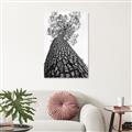 Picture of The Tree _GroupedProduct_Rectangle_Portrait_Photography _GroupedProduct_Rectangle_Portrait_Unframed_Print_Only_