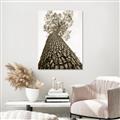 Picture of The Tree _GroupedProduct_Rectangle_Portrait_Photography _GroupedProduct_Rectangle_Portrait_Unframed_Print_Only_