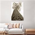 Picture of The Tree _GroupedProduct_Rectangle_Portrait_Photography _GroupedProduct_Rectangle_Portrait_Unframed_Print_Only_