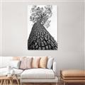 Picture of The Tree _GroupedProduct_Rectangle_Portrait_Photography _GroupedProduct_Rectangle_Portrait_Unframed_Print_Only_