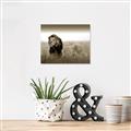 Picture of The Lion King _GroupedProduct_Rectangle_Landscape_Photography _GroupedProduct_Rectangle_Landscape_Unframed_Print_Only_