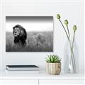 Picture of The Lion King _GroupedProduct_Rectangle_Landscape_Photography _GroupedProduct_Rectangle_Landscape_Unframed_Print_Only_
