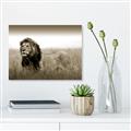 Picture of The Lion King _GroupedProduct_Rectangle_Landscape_Photography _GroupedProduct_Rectangle_Landscape_Unframed_Print_Only_