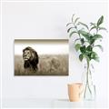 Picture of The Lion King _GroupedProduct_Rectangle_Landscape_Photography _GroupedProduct_Rectangle_Landscape_Unframed_Print_Only_