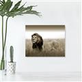 Picture of The Lion King _GroupedProduct_Rectangle_Landscape_Photography _GroupedProduct_Rectangle_Landscape_Unframed_Print_Only_