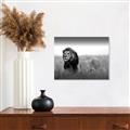Picture of The Lion King _GroupedProduct_Rectangle_Landscape_Photography _GroupedProduct_Rectangle_Landscape_Unframed_Print_Only_