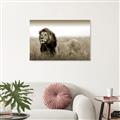Picture of The Lion King _GroupedProduct_Rectangle_Landscape_Photography _GroupedProduct_Rectangle_Landscape_Unframed_Print_Only_