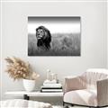 Picture of The Lion King _GroupedProduct_Rectangle_Landscape_Photography _GroupedProduct_Rectangle_Landscape_Unframed_Print_Only_