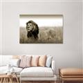 Picture of The Lion King _GroupedProduct_Rectangle_Landscape_Photography _GroupedProduct_Rectangle_Landscape_Unframed_Print_Only_