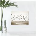 Picture of Seagulls flying on a rainy day _GroupedProduct_Rectangle_Landscape_Photography _GroupedProduct_Rectangle_Landscape_Unframed_Print_Only_