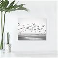 Picture of Seagulls flying on a rainy day _GroupedProduct_Rectangle_Landscape_Photography _GroupedProduct_Rectangle_Landscape_Unframed_Print_Only_