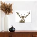 Picture of Deer Antler _GroupedProduct_Rectangle_Landscape_Photography _GroupedProduct_Rectangle_Landscape_Unframed_Print_Only_
