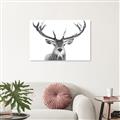 Picture of Deer Antler _GroupedProduct_Rectangle_Landscape_Photography _GroupedProduct_Rectangle_Landscape_Unframed_Print_Only_