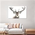 Picture of Deer Antler _GroupedProduct_Rectangle_Landscape_Photography _GroupedProduct_Rectangle_Landscape_Unframed_Print_Only_