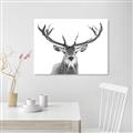 Picture of Deer Antler _GroupedProduct_Rectangle_Landscape_Photography _GroupedProduct_Rectangle_Landscape_Unframed_Print_Only_