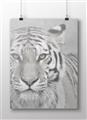 Picture of Big Tiger _GroupedProduct_Rectangle_Landscape_Photography _GroupedProduct_Rectangle_Landscape_Unframed_Print_Only_