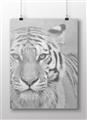 Picture of Big Tiger _GroupedProduct_Rectangle_Landscape_Photography _GroupedProduct_Rectangle_Landscape_Unframed_Print_Only_
