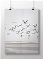 Picture of Seagulls flying on a rainy day _GroupedProduct_Rectangle_Landscape_Photography _GroupedProduct_Rectangle_Landscape_Unframed_Print_Only_
