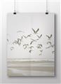 Picture of Seagulls flying on a rainy day _GroupedProduct_Rectangle_Landscape_Photography _GroupedProduct_Rectangle_Landscape_Unframed_Print_Only_