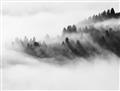 Picture of Mystic foggy forest _GroupedProduct_Rectangle_Landscape_Photography _GroupedProduct_Rectangle_Landscape_Unframed_Print_Only_
