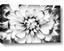 Picture of Black and White Flower