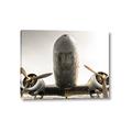 Picture of Plane of Yester Year _GroupedProduct_Rectangle_Landscape_Photography _GroupedProduct_Rectangle_Landscape_Canvas_