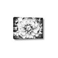 Picture of Black and White Flower _GroupedProduct_Rectangle_Landscape_Photography _GroupedProduct_Rectangle_Landscape_Canvas_