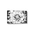 Picture of Black and White Flower _GroupedProduct_Rectangle_Landscape_Photography _GroupedProduct_Rectangle_Landscape_Canvas_