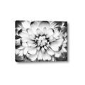 Picture of Black and White Flower _GroupedProduct_Rectangle_Landscape_Photography _GroupedProduct_Rectangle_Landscape_Canvas_