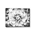 Picture of Black and White Flower _GroupedProduct_Rectangle_Landscape_Photography _GroupedProduct_Rectangle_Landscape_Canvas_