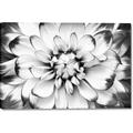 Picture of Black and White Flower _GroupedProduct_Rectangle_Landscape_Photography _GroupedProduct_Rectangle_Landscape_Canvas_