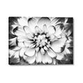 Picture of Black and White Flower _GroupedProduct_Rectangle_Landscape_Photography _GroupedProduct_Rectangle_Landscape_Canvas_