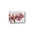 Picture of Flower isolated _GroupedProduct_Rectangle_Landscape_Photography _GroupedProduct_Rectangle_Landscape_Canvas_
