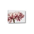 Picture of Flower isolated _GroupedProduct_Rectangle_Landscape_Photography _GroupedProduct_Rectangle_Landscape_Canvas_