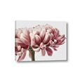 Picture of Flower isolated _GroupedProduct_Rectangle_Landscape_Photography _GroupedProduct_Rectangle_Landscape_Canvas_