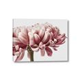 Picture of Flower isolated _GroupedProduct_Rectangle_Landscape_Photography _GroupedProduct_Rectangle_Landscape_Canvas_