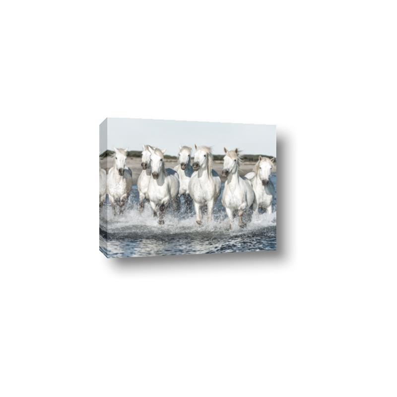 Picture of White Horses _GroupedProduct_Rectangle_Landscape_Photography _GroupedProduct_Rectangle_Landscape_Canvas_