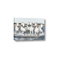 Picture of White Horses _GroupedProduct_Rectangle_Landscape_Photography _GroupedProduct_Rectangle_Landscape_Canvas_