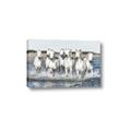 Picture of White Horses _GroupedProduct_Rectangle_Landscape_Photography _GroupedProduct_Rectangle_Landscape_Canvas_