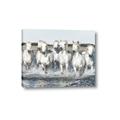 Picture of White Horses _GroupedProduct_Rectangle_Landscape_Photography _GroupedProduct_Rectangle_Landscape_Canvas_