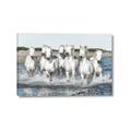 Picture of White Horses _GroupedProduct_Rectangle_Landscape_Photography _GroupedProduct_Rectangle_Landscape_Canvas_