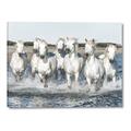 Picture of White Horses _GroupedProduct_Rectangle_Landscape_Photography _GroupedProduct_Rectangle_Landscape_Canvas_