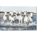 Picture of White Horses _GroupedProduct_Rectangle_Landscape_Photography _GroupedProduct_Rectangle_Landscape_Canvas_