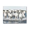 Picture of White Horses _GroupedProduct_Rectangle_Landscape_Photography _GroupedProduct_Rectangle_Landscape_Canvas_