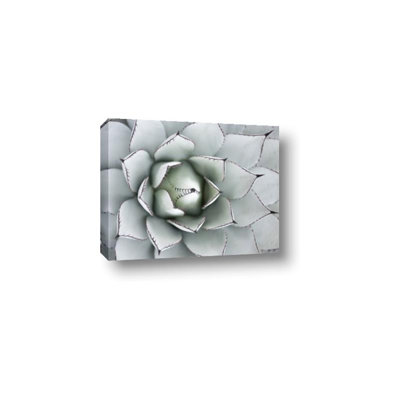 Picture of Landscaped flower Bed _GroupedProduct_Rectangle_Landscape_Photography _GroupedProduct_Rectangle_Landscape_Canvas_