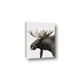 Picture of Moose _GroupedProduct_Rectangle_Portrait_Photography _GroupedProduct_Rectangle_Portrait_Canvas_